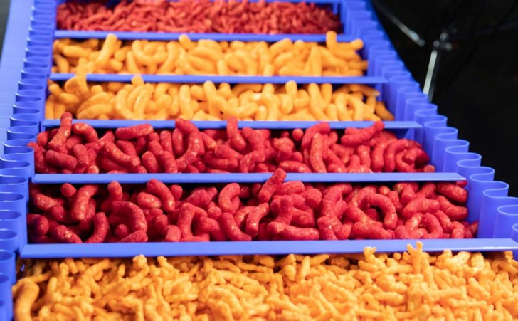 Food Processing: Choosing the Right Conveyor Belt Material