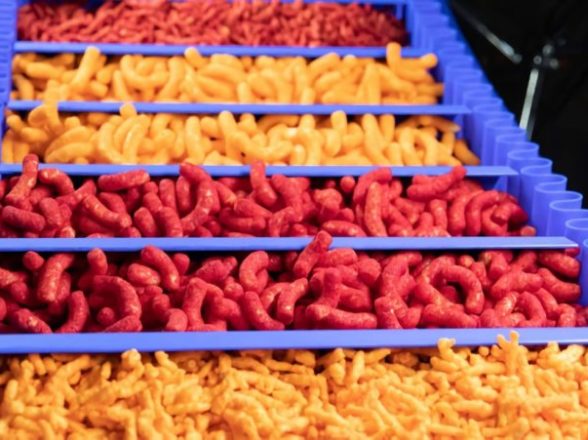 Food Processing: Choosing the Right Conveyor Belt Material