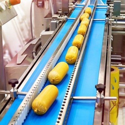 Sanitary Conveyor for the Food Industry