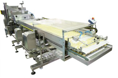F.N. Sheppard : Custom Conveyor Solutions for Dairy Processors